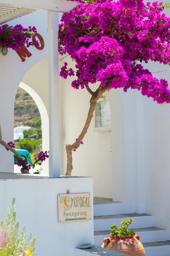 Morpheas Pension Rooms & Apartments Kamares  Zewnętrze zdjęcie
